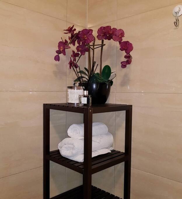 Perfect Dublin Residence Free Wifi エクステリア 写真